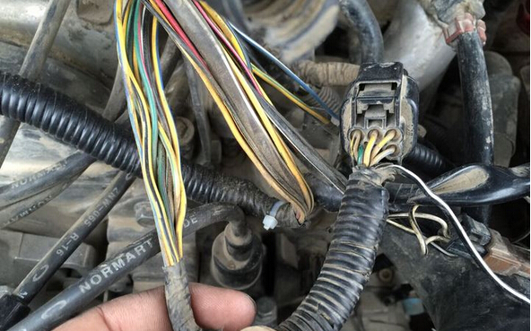 sunbet(中国区)官方网站