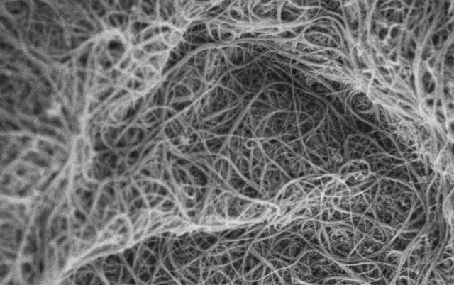 sunbet(中国区)官方网站