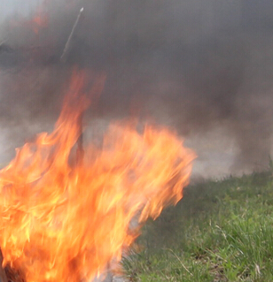 2017sunbet消防、逃生演习