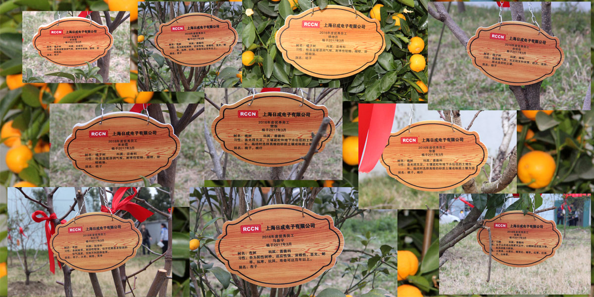 sunbet(中国区)官方网站