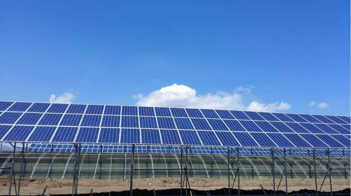 sunbet(中国区)官方网站