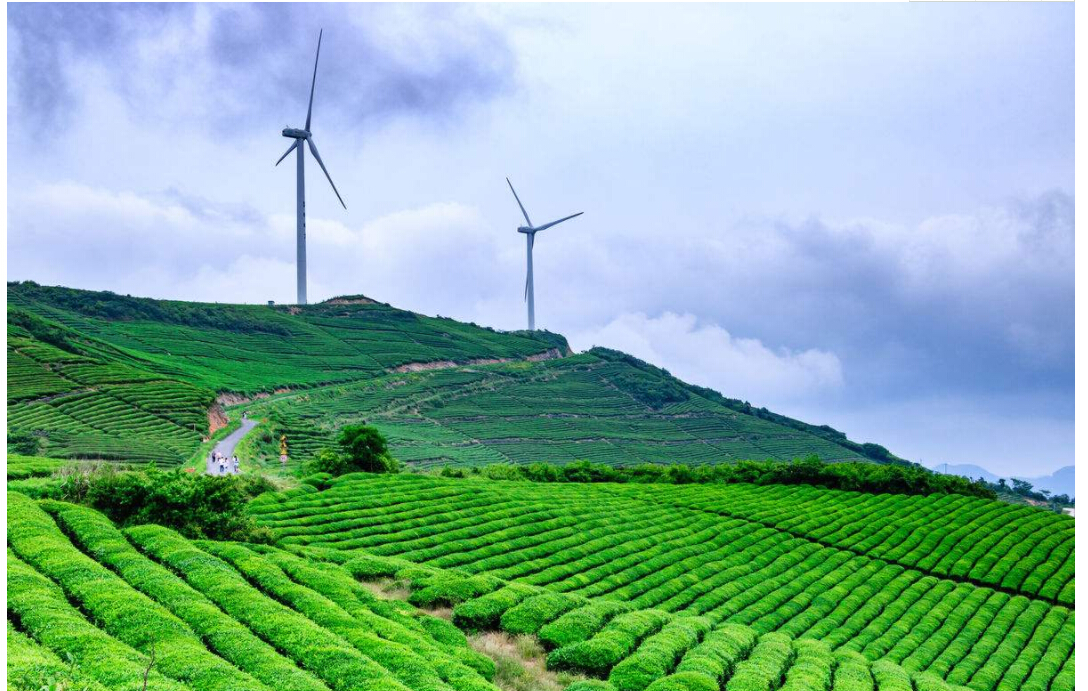 sunbet(中国区)官方网站