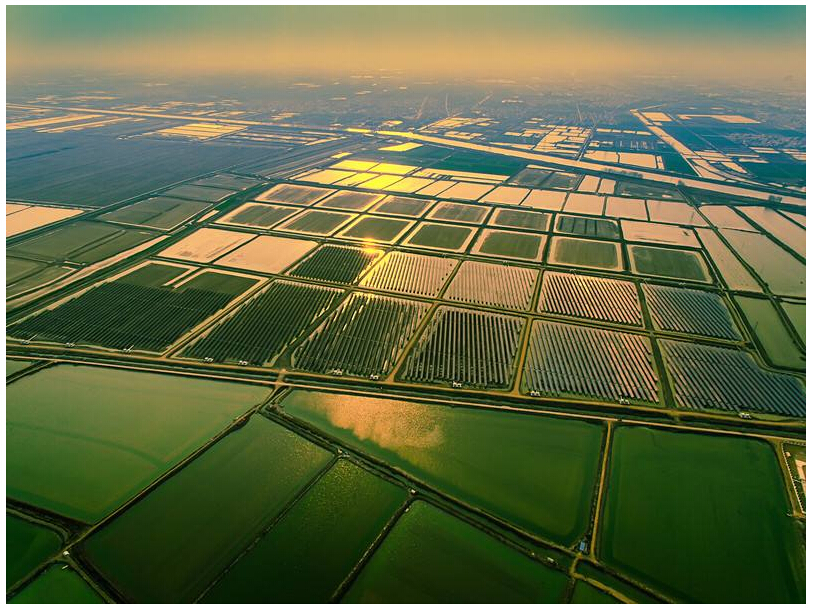 sunbet(中国区)官方网站