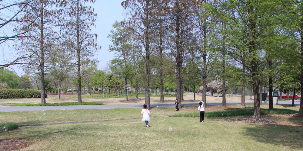 sunbet(中国区)官方网站