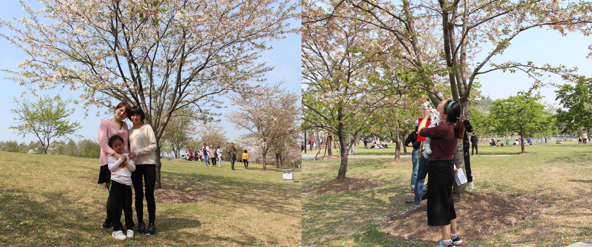 sunbet(中国区)官方网站