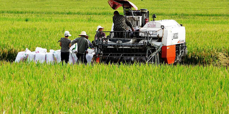 sunbet(中国区)官方网站