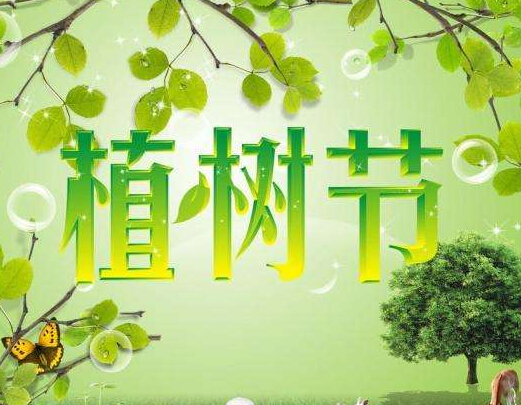 植树节：人与树之间的生命史诗