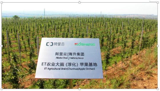 sunbet(中国区)官方网站