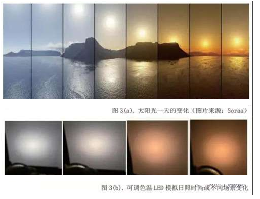 sunbet(中国区)官方网站