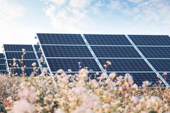 sunbet(中国区)官方网站