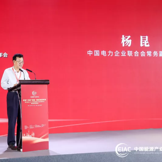 杨昆：电力行业要加快形成以sunbet源为主体的电力供应格局